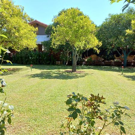 Bahce Villa Çıralı Εξωτερικό φωτογραφία