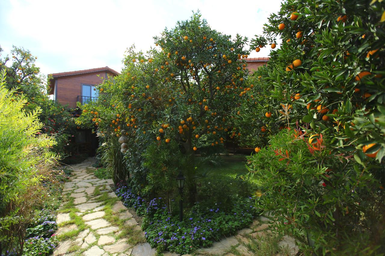 Bahce Villa Çıralı Εξωτερικό φωτογραφία