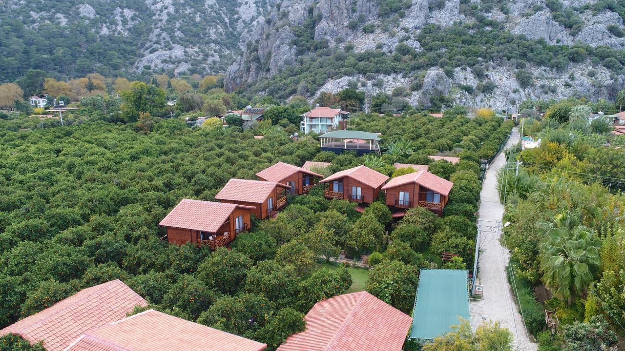 Bahce Villa Çıralı Εξωτερικό φωτογραφία